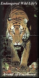 tiger award