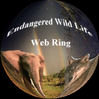 Endangered Wildlife
Webring